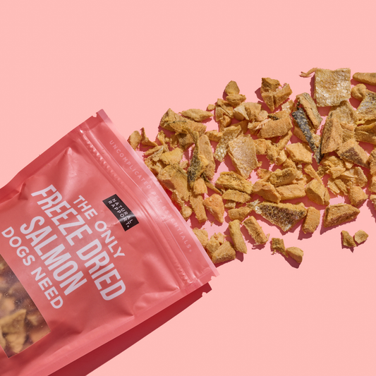 Natural Report The Only Freeze Dried Salmon Dogs Need