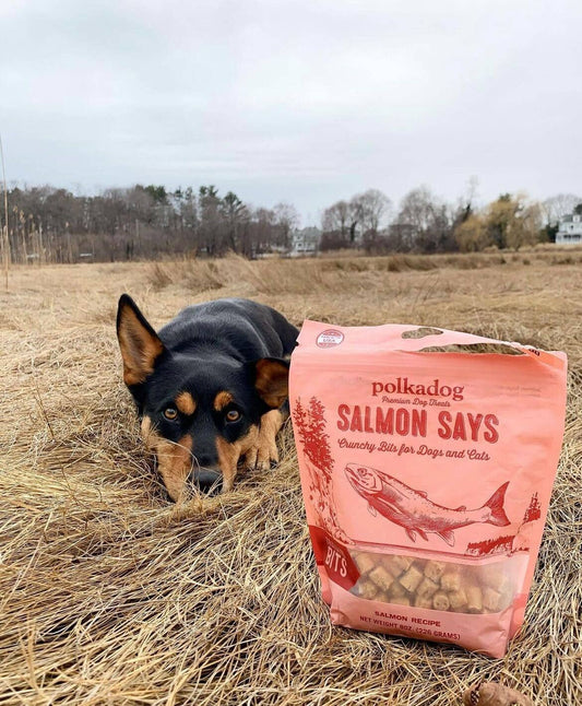Polkadog Salmon Says Training Bits - 7oz