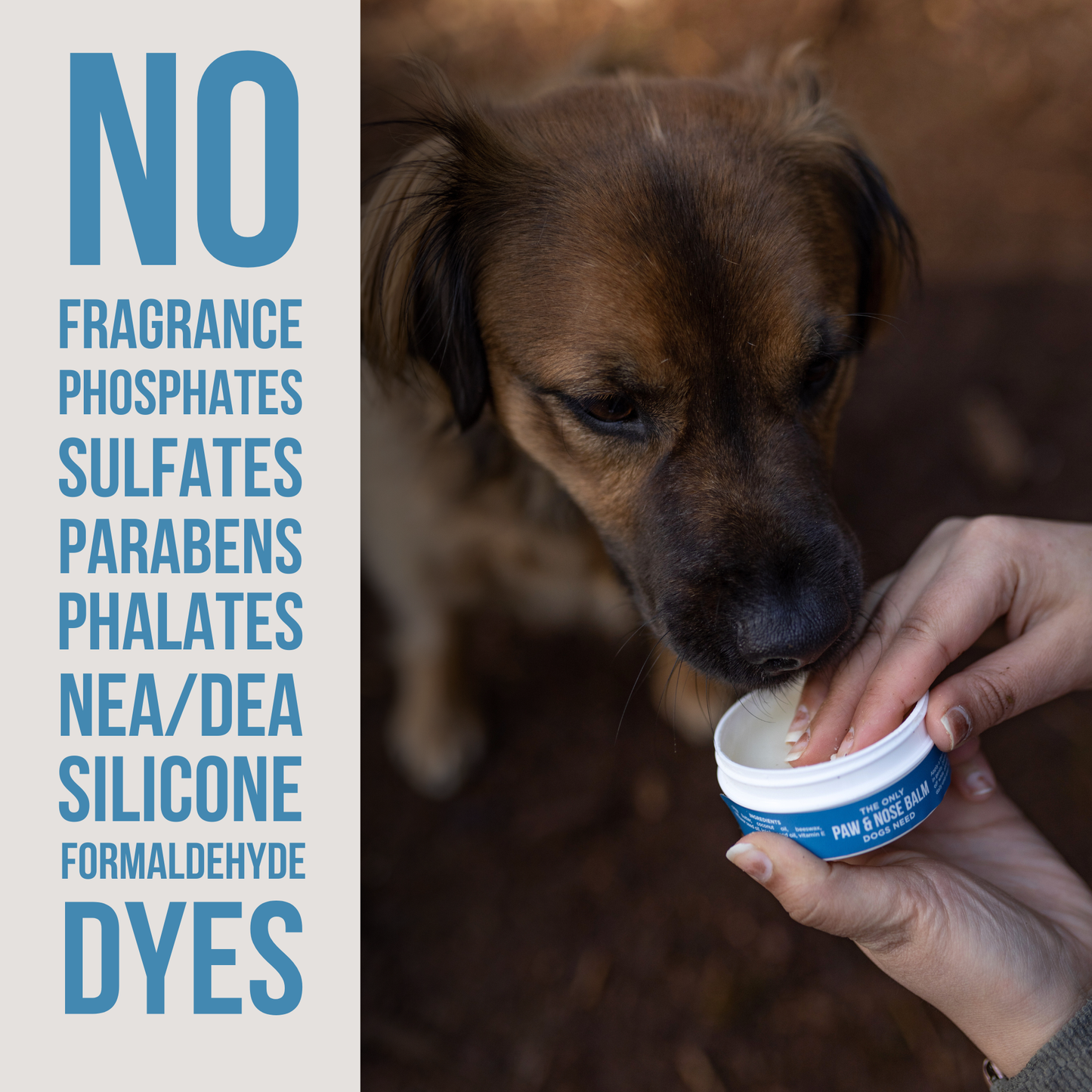 Natural Report The Only Paw & Nose Balm Dogs Need