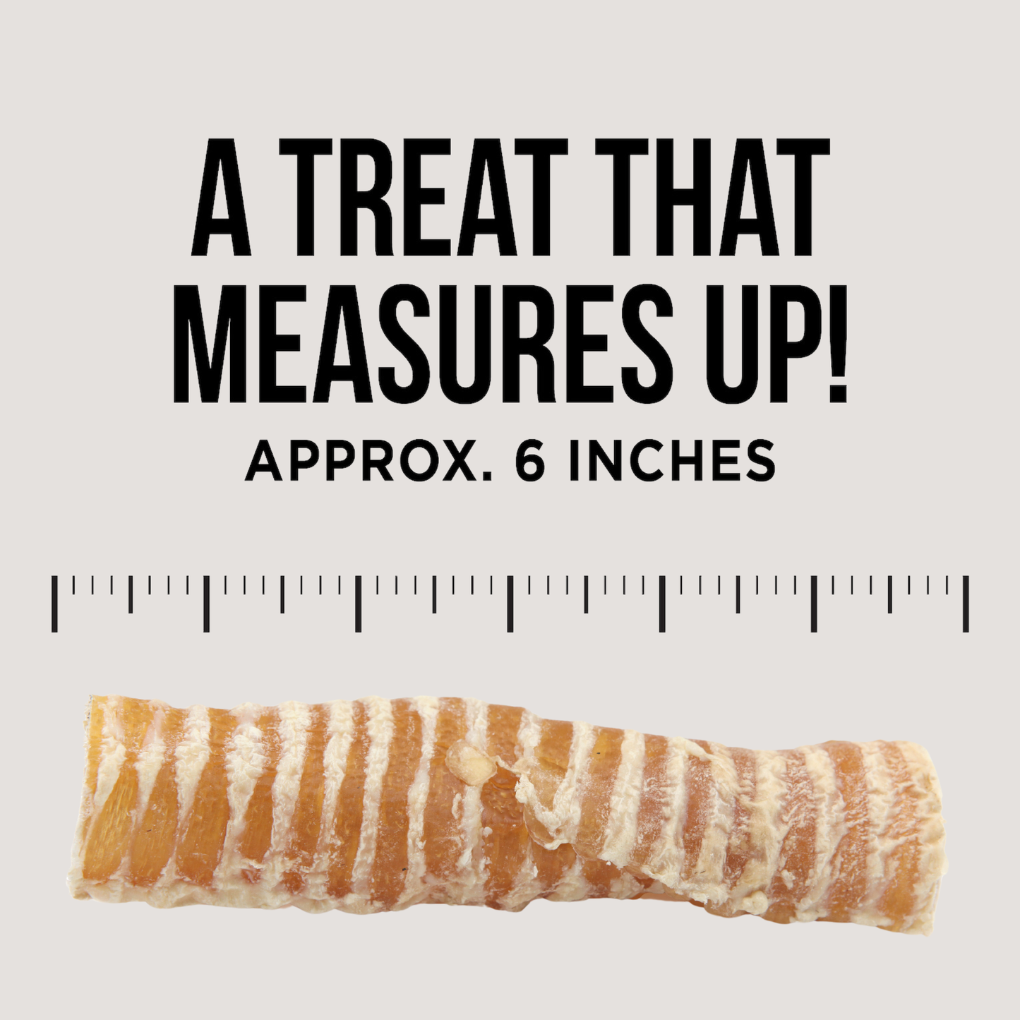 Natural Rapport The Only Beef Trachea Chews Dogs Need