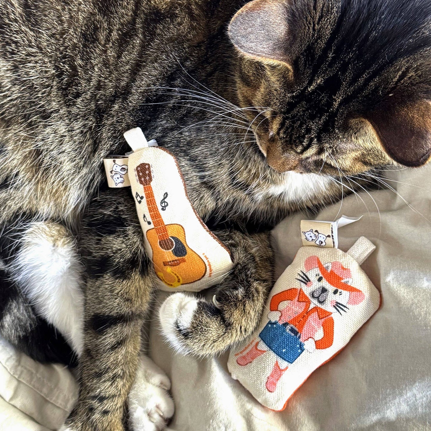 Go Kitty Go Cat Toy Set | Country Music Kitty