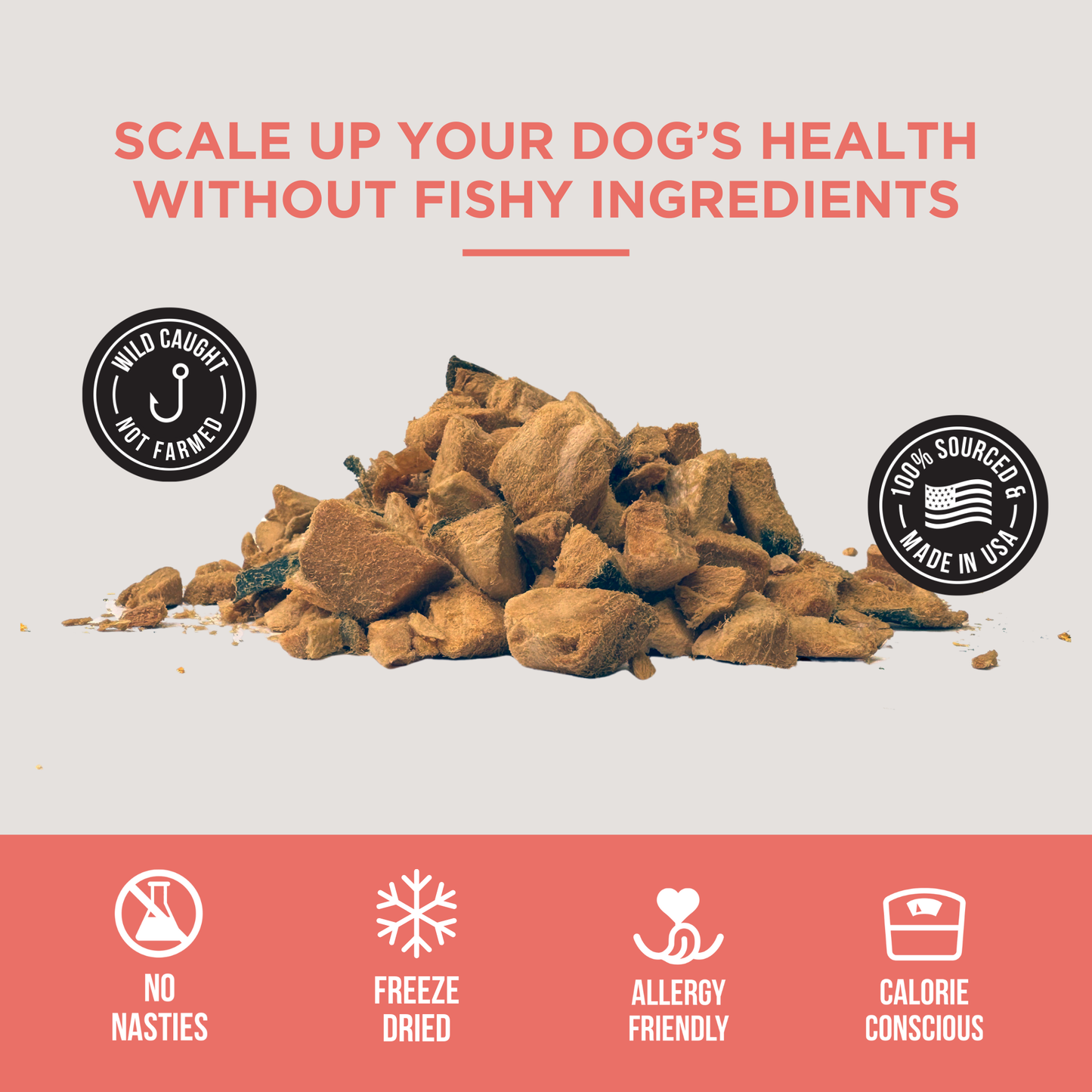 Natural Report The Only Freeze Dried Salmon Dogs Need