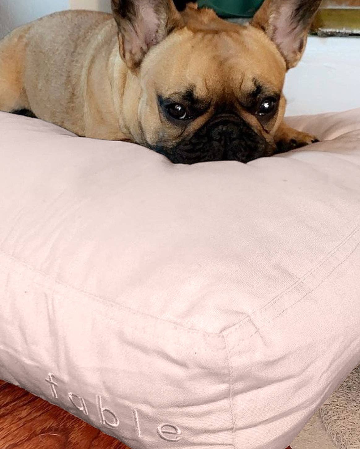 Fable Durable Water-Resistant Memory Foam Dog Bed