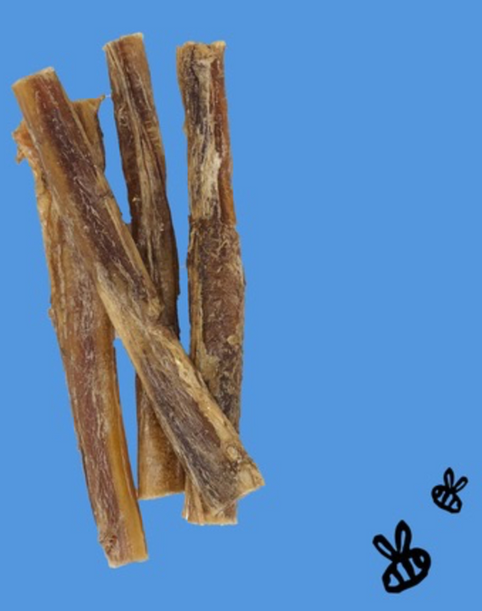 6" Bully Stick (individual)
