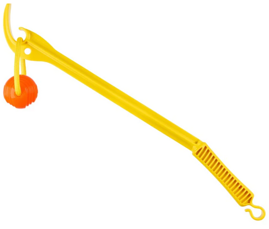 Project Hive Zoomer Launcher and Ball