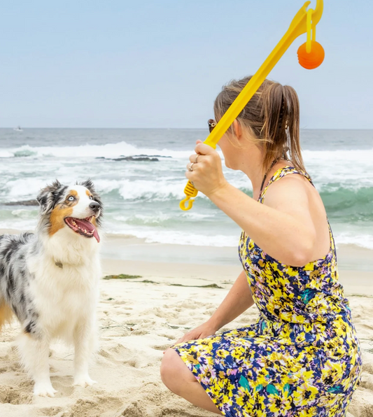 Project Hive Zoomer Launcher and Ball