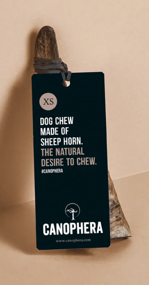 Canophera Dog Chew Sheep Horn- X Small