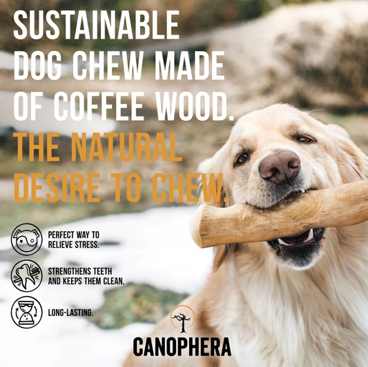 Canophera Dog Chew Stick Coffee Tree Wood- Large