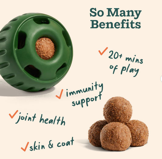 Woof Dog Treat All In One Wellness Pop Small 8oz