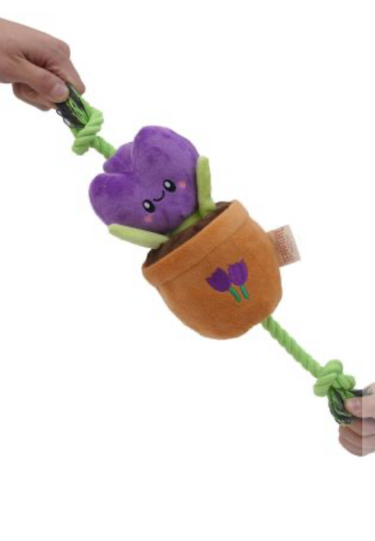 Territory Dog Toy Tug & Treat Purple Flower 16"