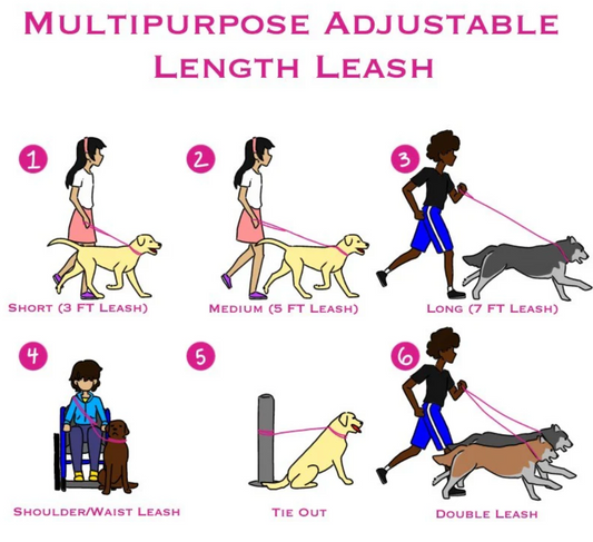 Pro-Mohs BioThane Multi-Purpose Leash - (3/8" x 7')