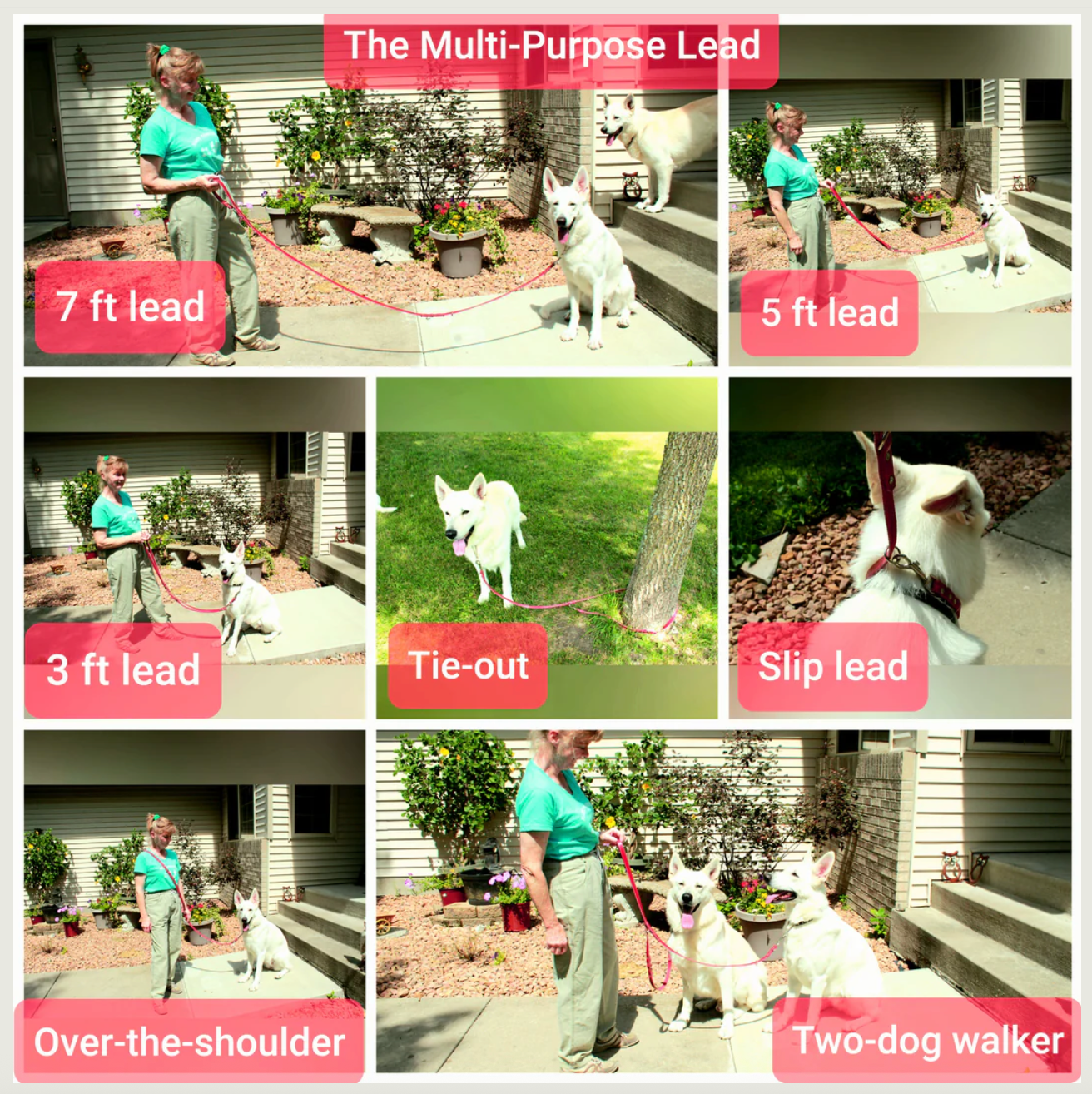 Pro-Mohs BioThane Multi-Purpose Leash - (3/8" x 7')