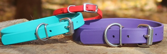 Pro-Mohs BioThane Buckle Collar (1" x 18") Fits 16"-20"