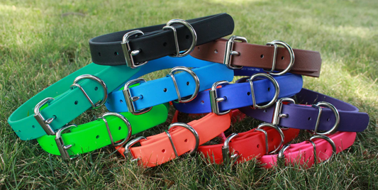 Pro-Mohs BioThane Buckle Collar (1" x 18") Fits 16"-20"