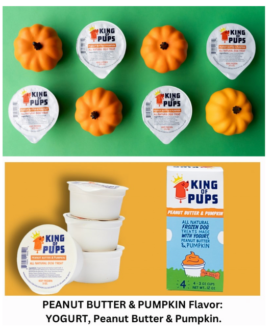 King Of Pups Dog Treat Frozen PB Pumpkin 3 oz