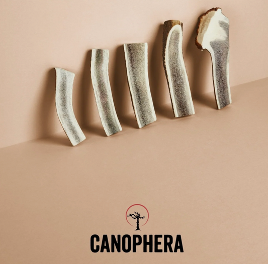 Canophera Dog Toy Chew Red Deer Antler Split Large
