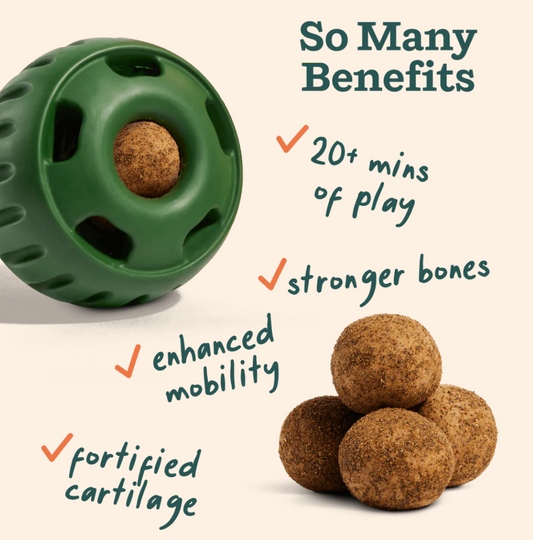 Woof Dog Treat Joint Health Wellness Pops Large 8 oz