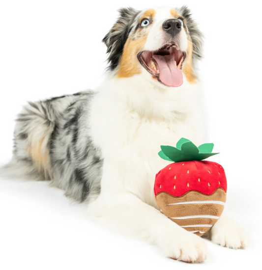 Huxley Kent Dog Toy Power Plush Chocolate Strawberry Large