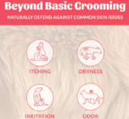 SK HONOR GROOMING SHAMPOO + / CONDITIONER 16 OZ COCONUT