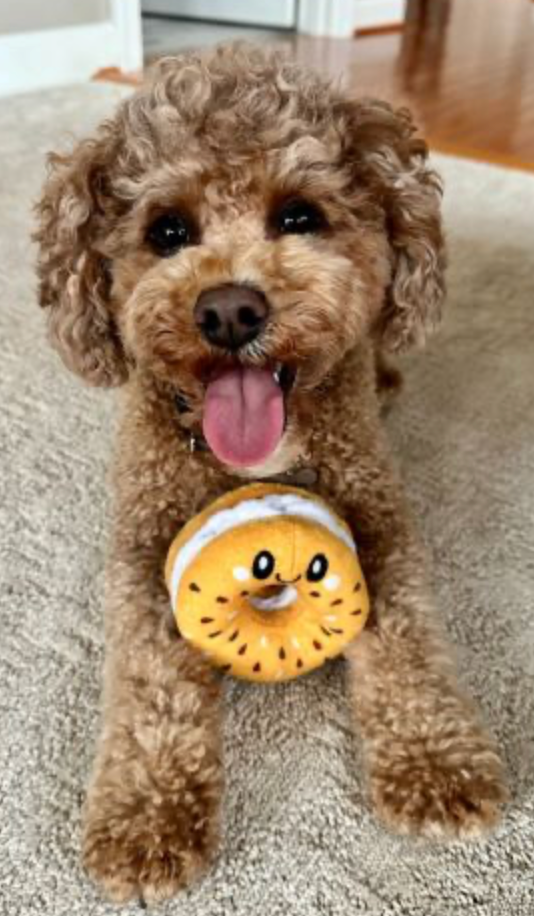 Territory Dog Toy Plush Bagel 4"