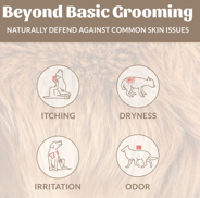 SK HONOR GROOMING PROBIOTIC / DEODORIZER 8 OZ DOG OF THE WOODS