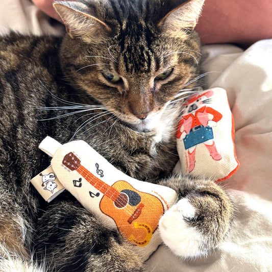 Go Kitty Go Cat Toy Set | Country Music Kitty