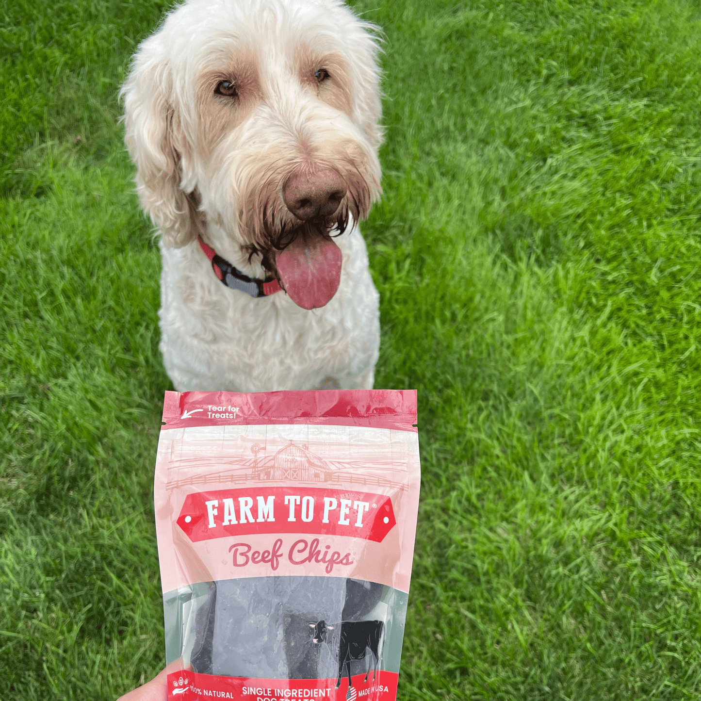 Farm To Pet Beef Chips Human-Grade Dog Treats – 2 sizes
