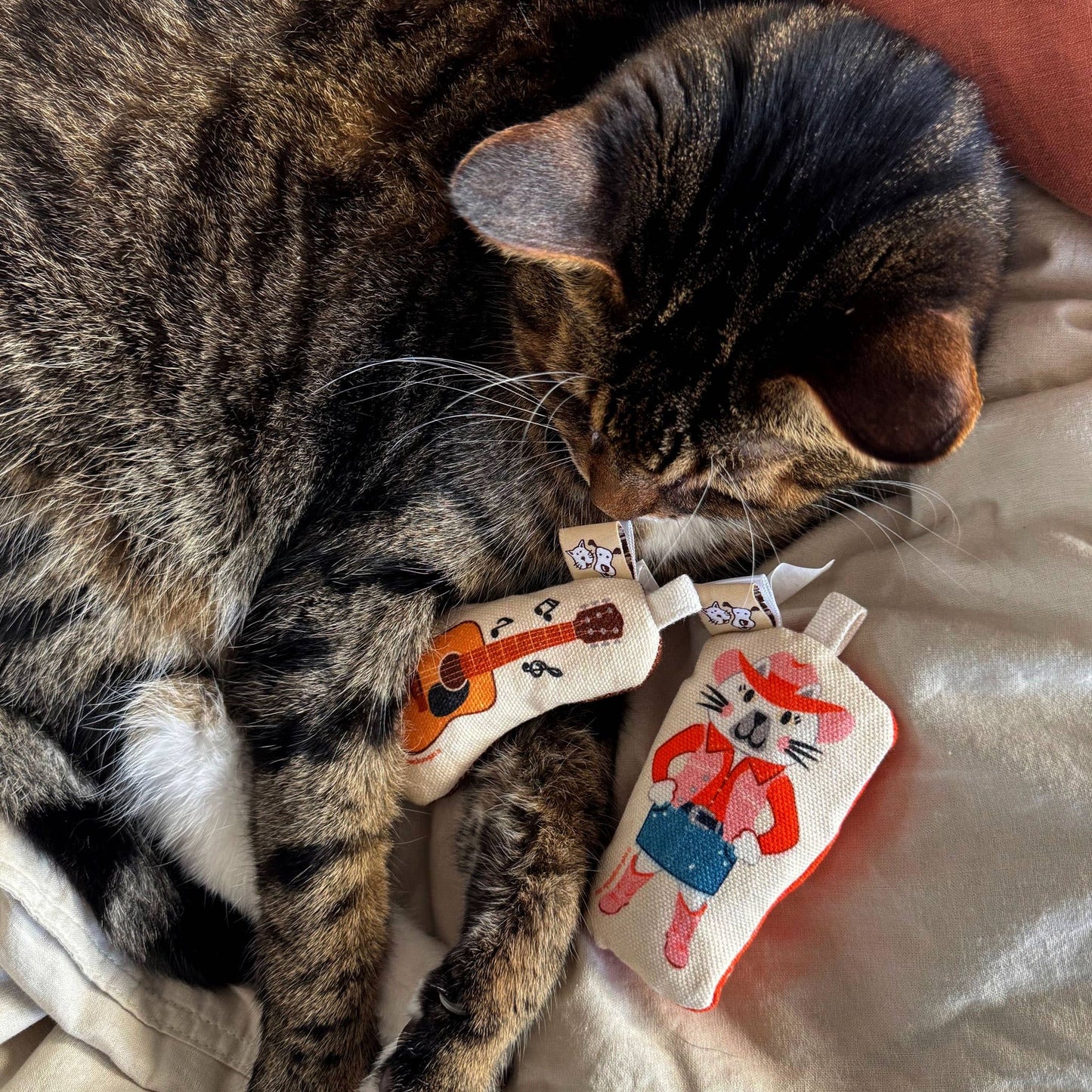 Go Kitty Go Cat Toy Set | Country Music Kitty