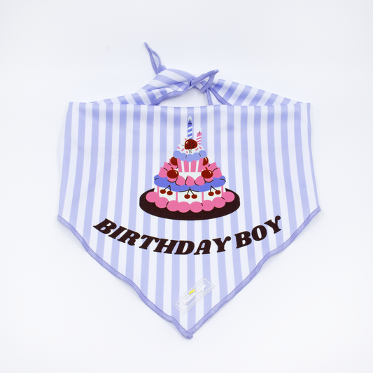 Million Dogs Cooling Dog Bandana - Birthday Boy