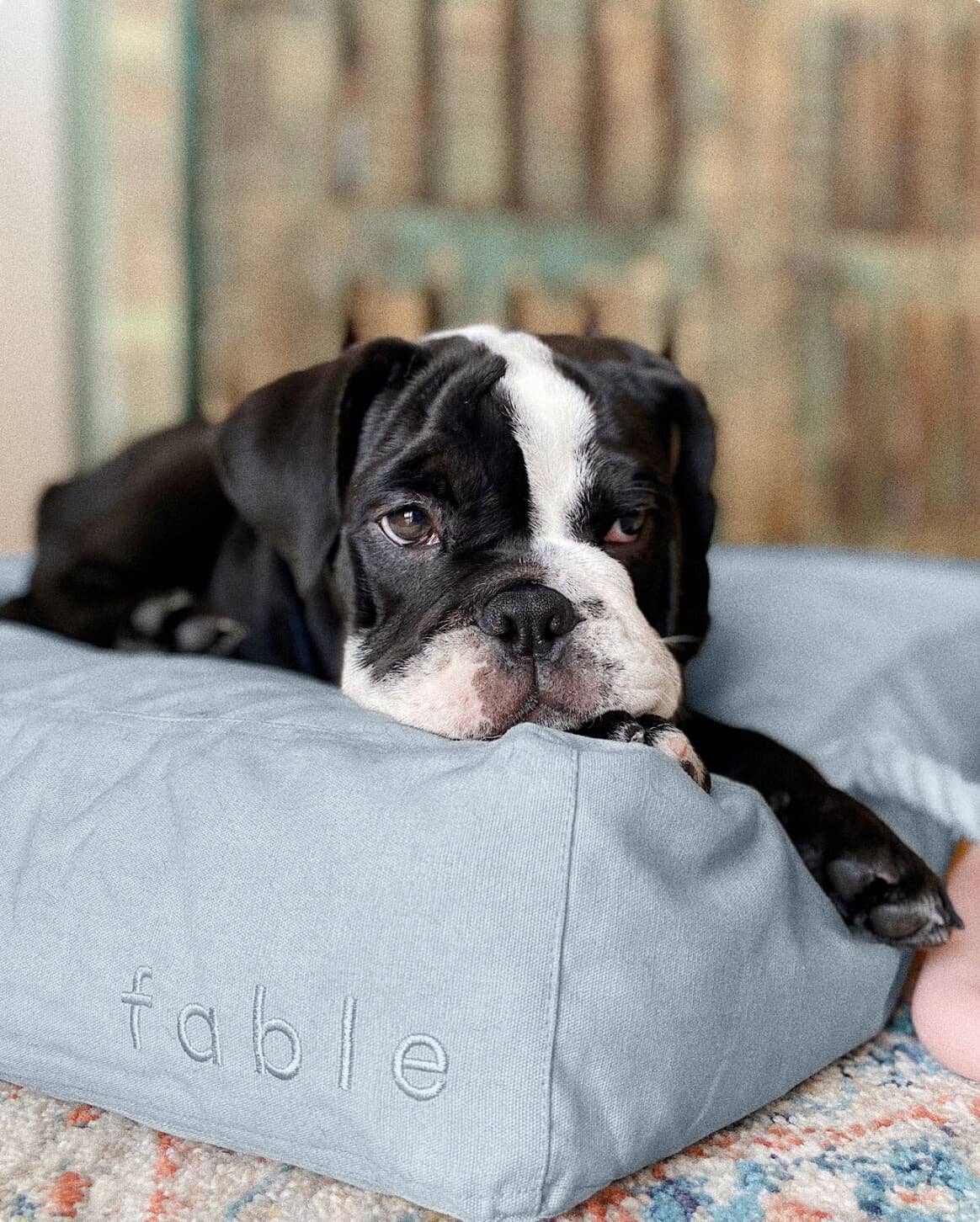 Fable Durable Water-Resistant Memory Foam Dog Bed