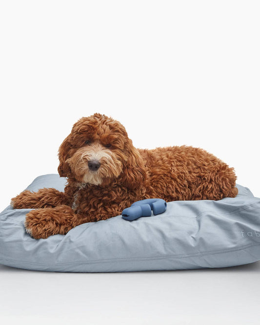 Fable Durable Water-Resistant Memory Foam Dog Bed