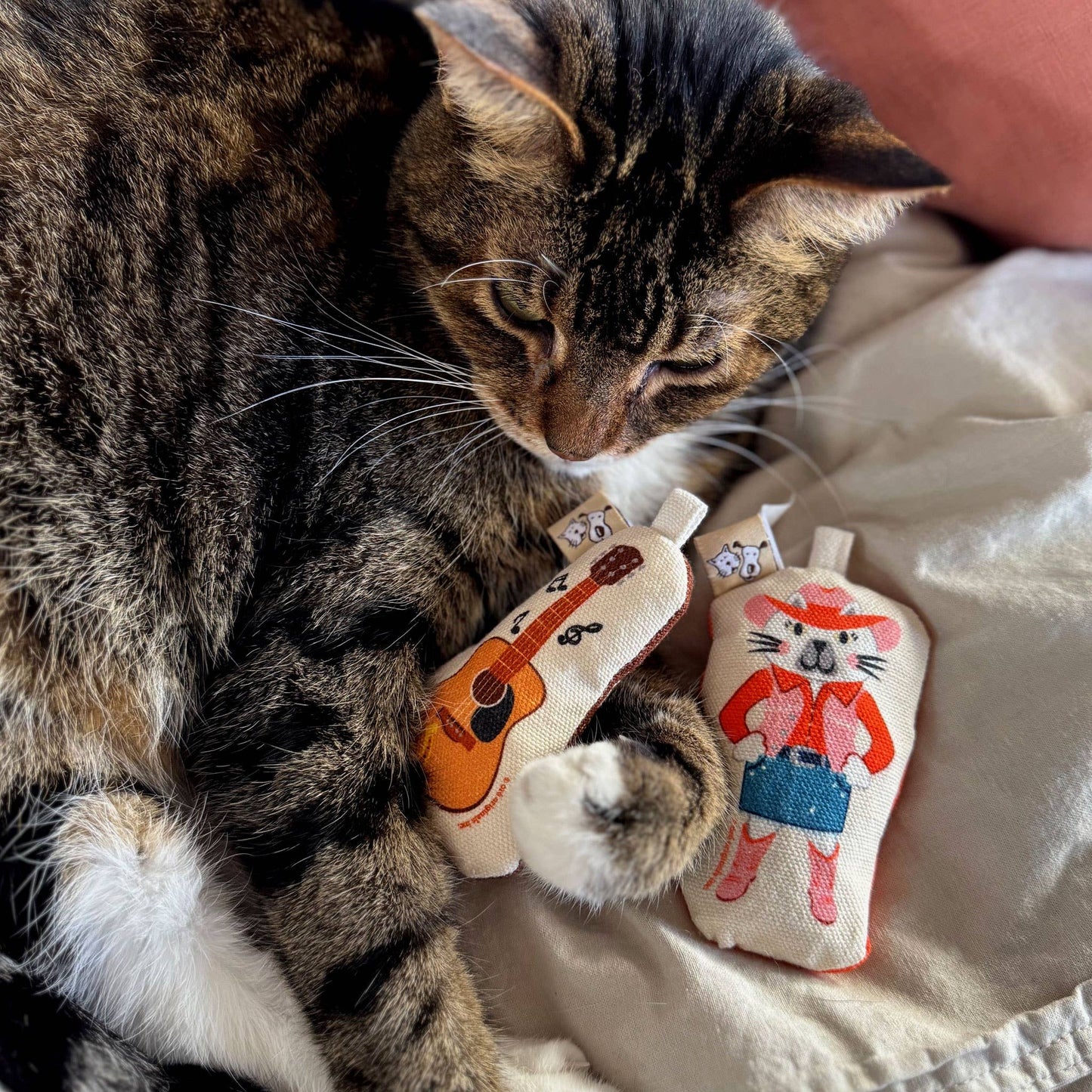 Go Kitty Go Cat Toy Set | Country Music Kitty