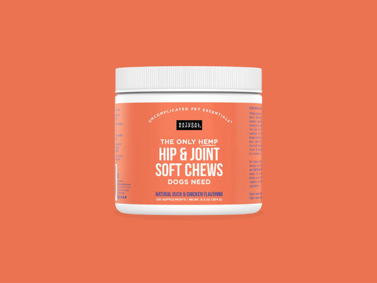 Natural Rapport The Only Hemp Hip & Joint Soft Chews Dogs Need