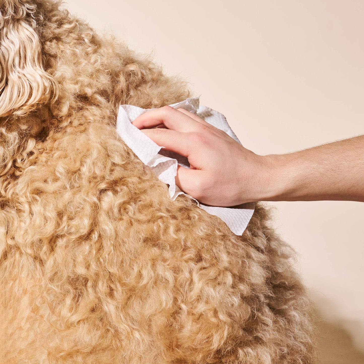 Goldie So Fresh, So Clean Probiotic Dog Wipes