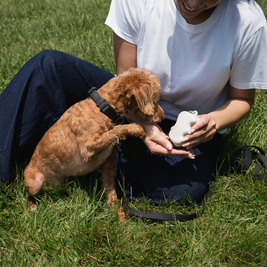 Silicone Dog Treat Pouch Dispenser
