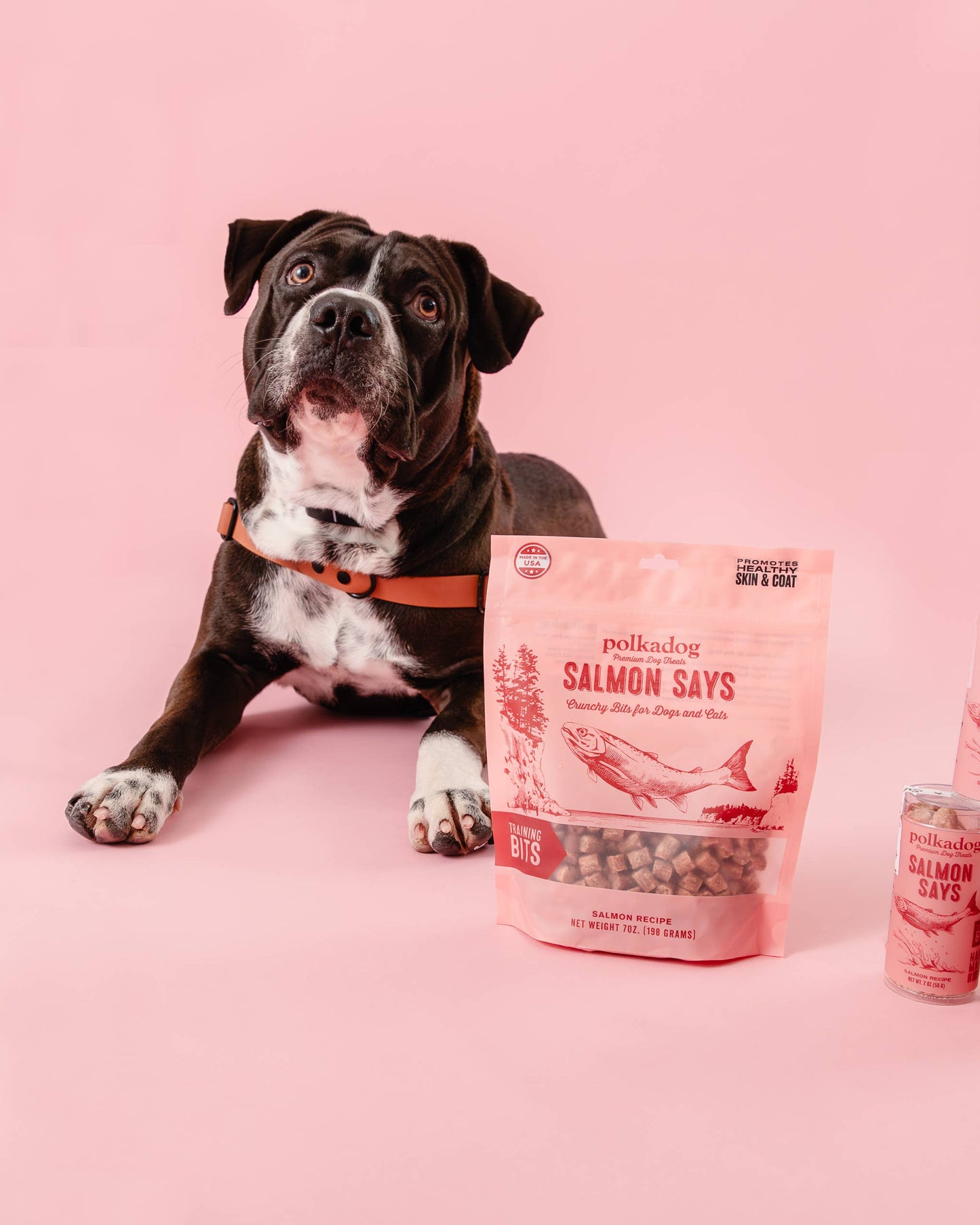 Polkadog Salmon Says Training Bits - 7oz