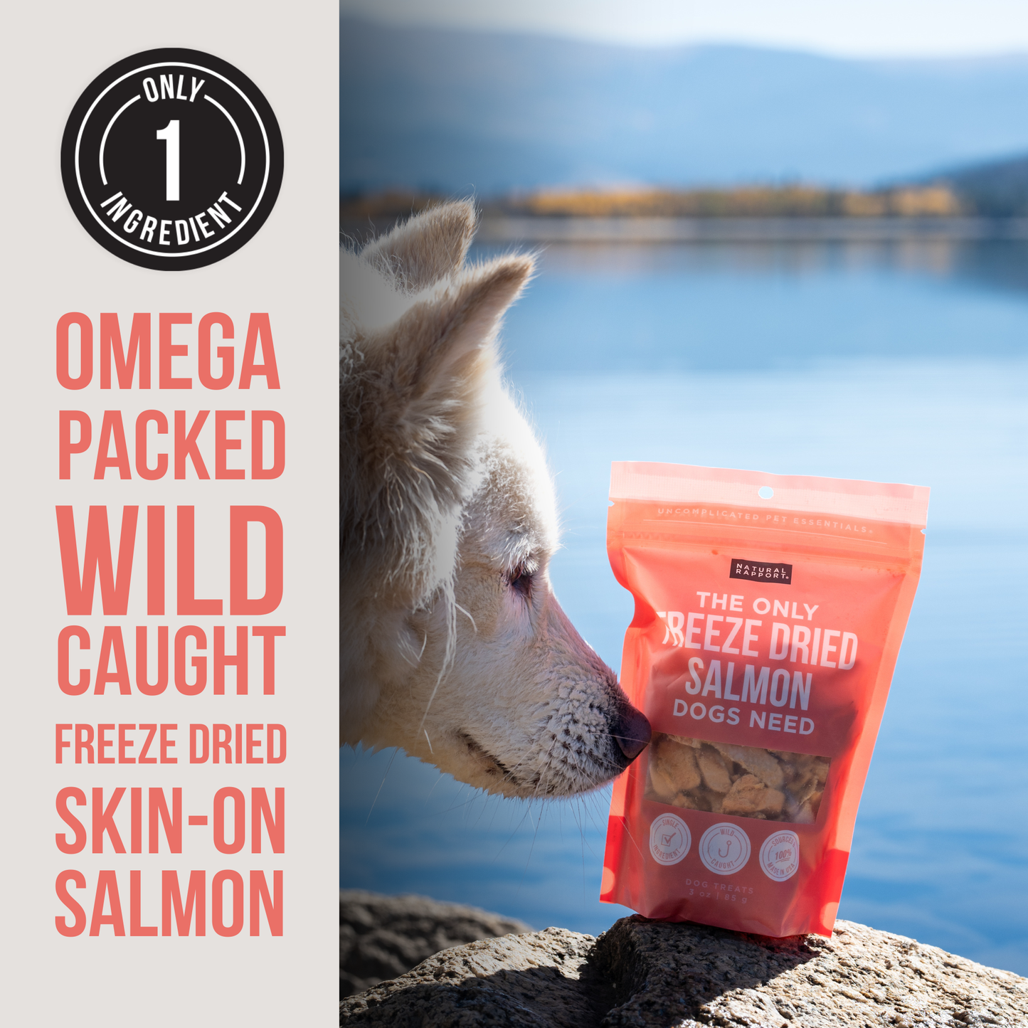 Natural Report The Only Freeze Dried Salmon Dogs Need