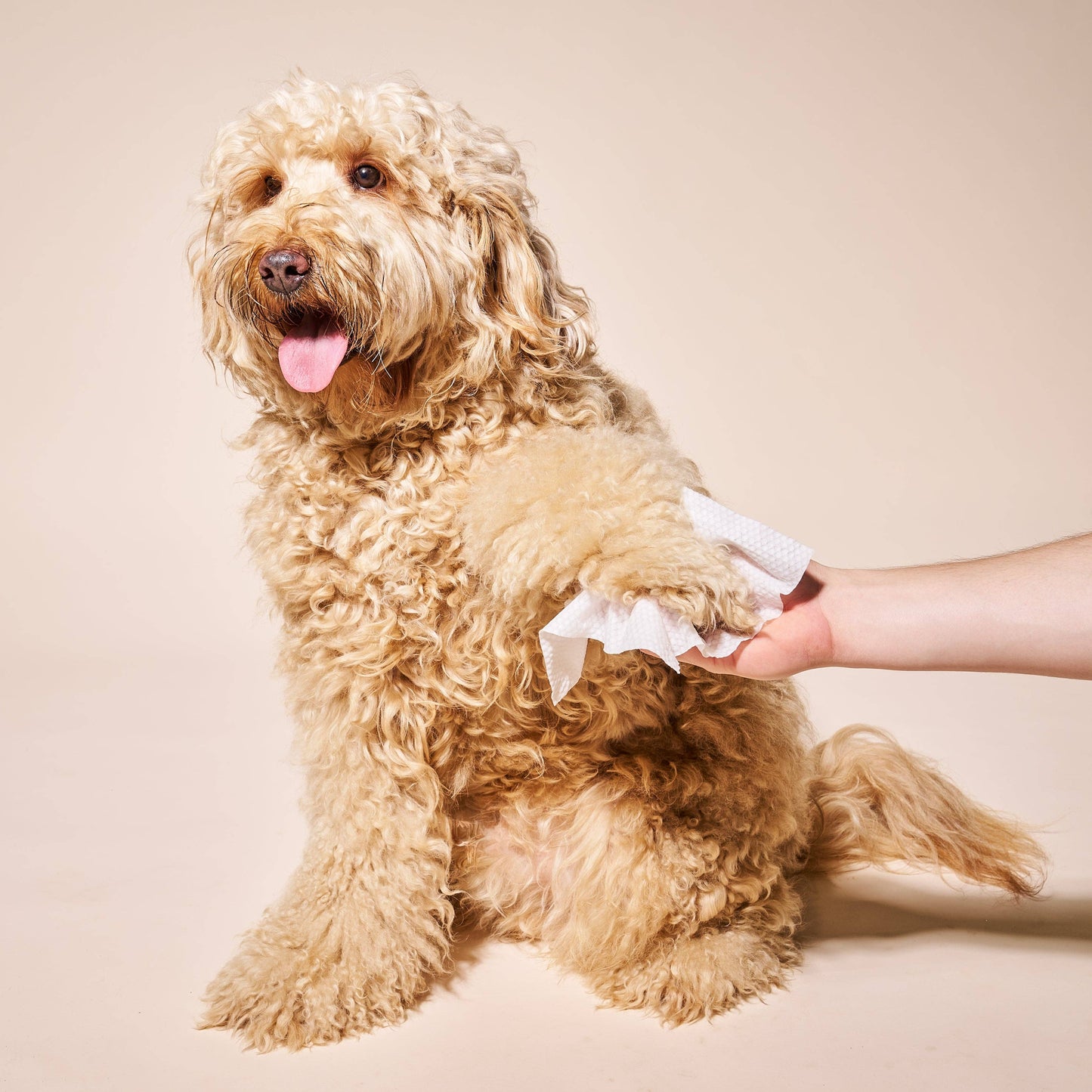 Goldie So Fresh, So Clean Probiotic Dog Wipes