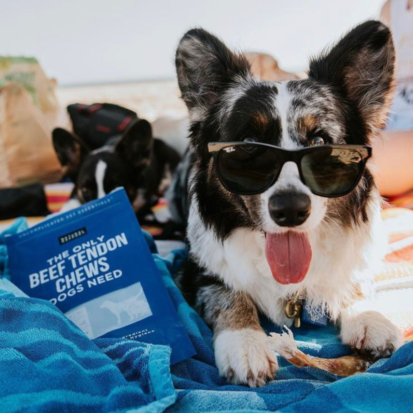 The Only Beef Tendon Chews Dogs Need