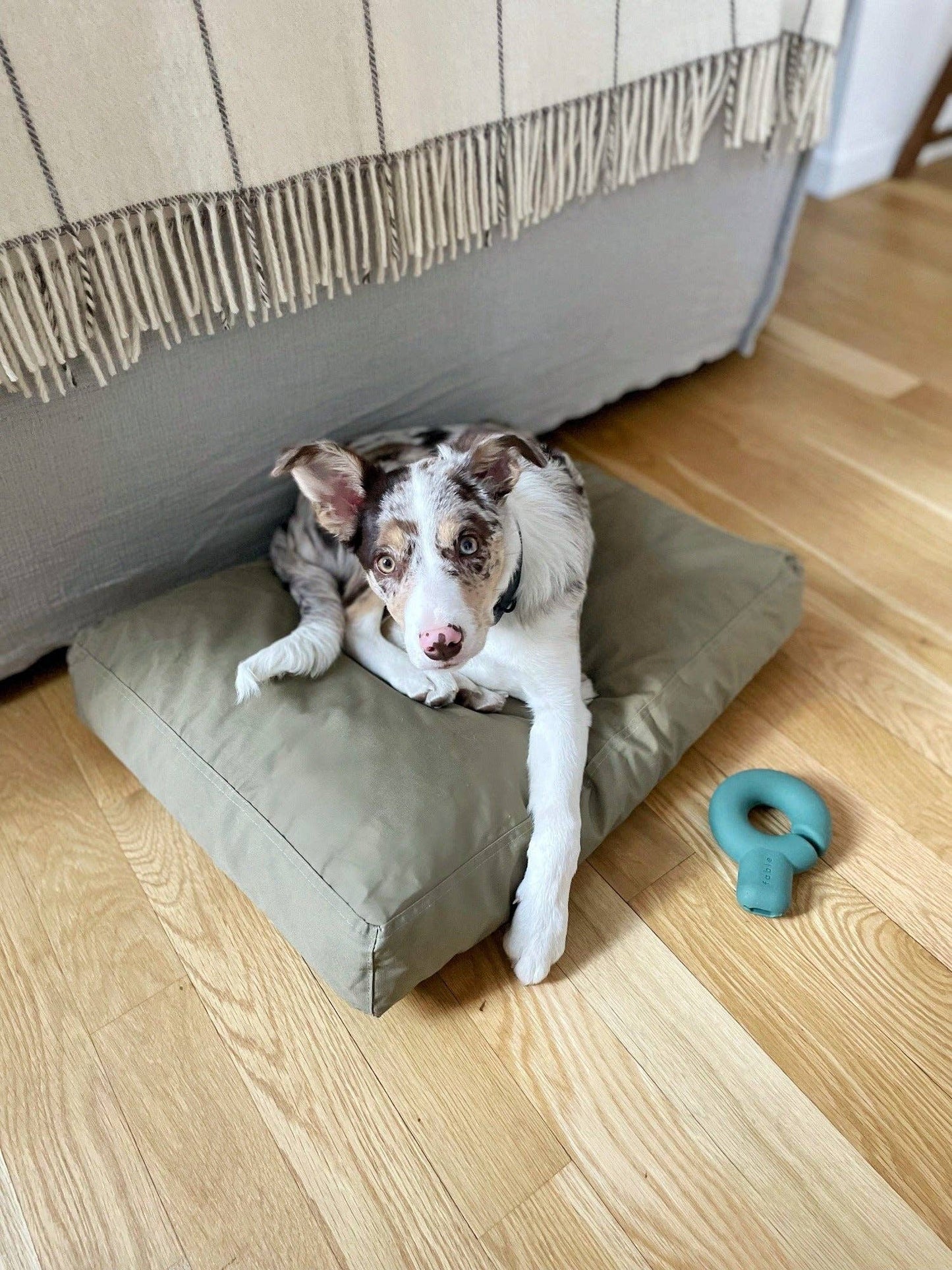 Fable Durable Water-Resistant Memory Foam Dog Bed