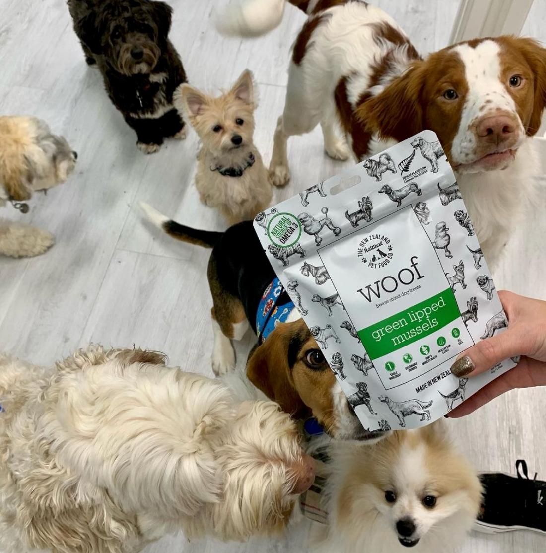 NZ Woof Green Mussel Treat 1.76oz