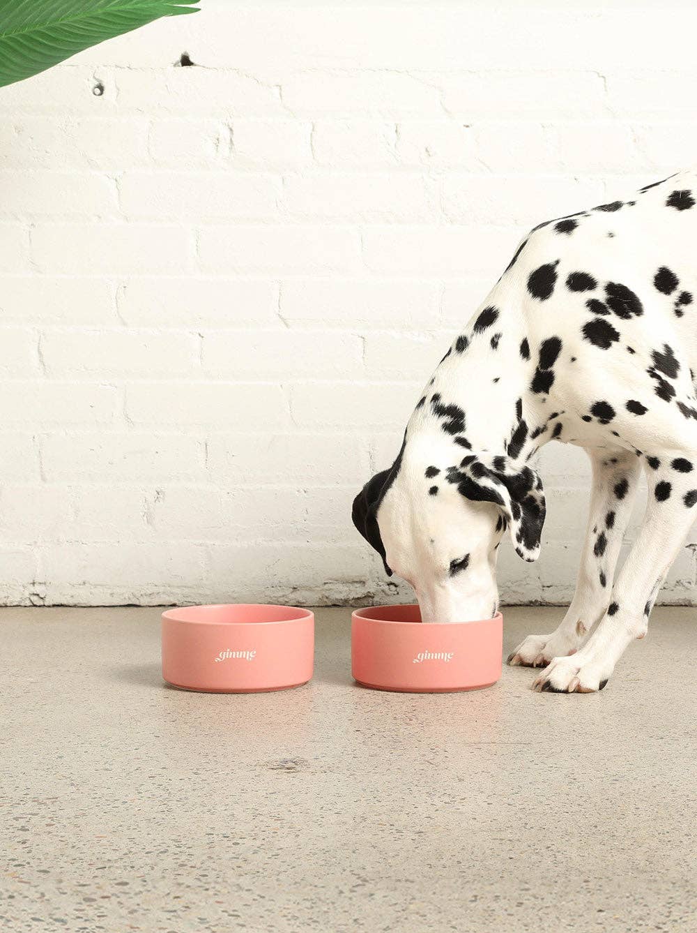 Gimme Dog Bowl