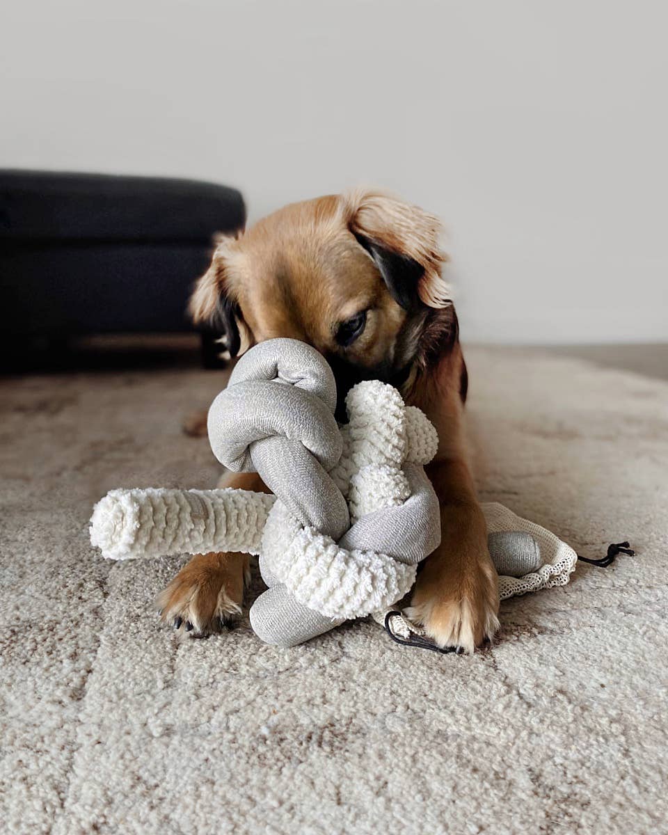 NOU | gray with crinkle clusters//ENRICHMENT DOG TOY