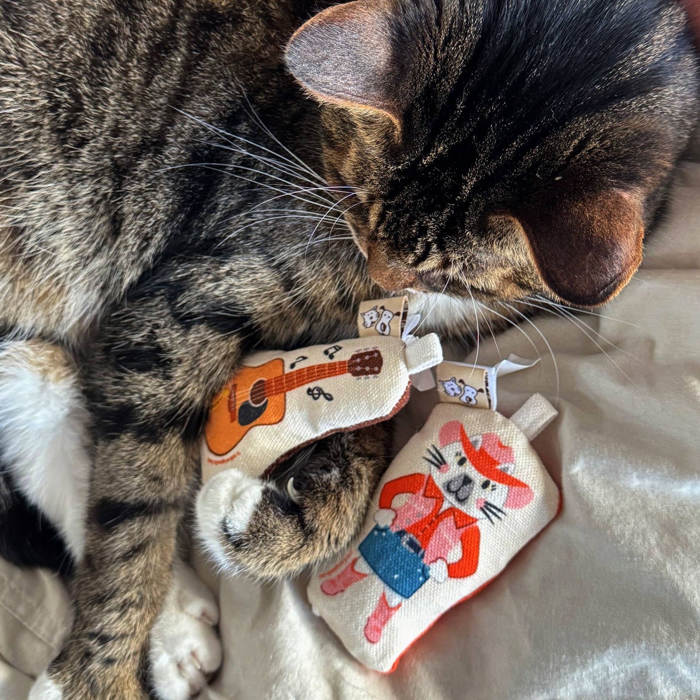Go Kitty Go Cat Toy Set | Country Music Kitty