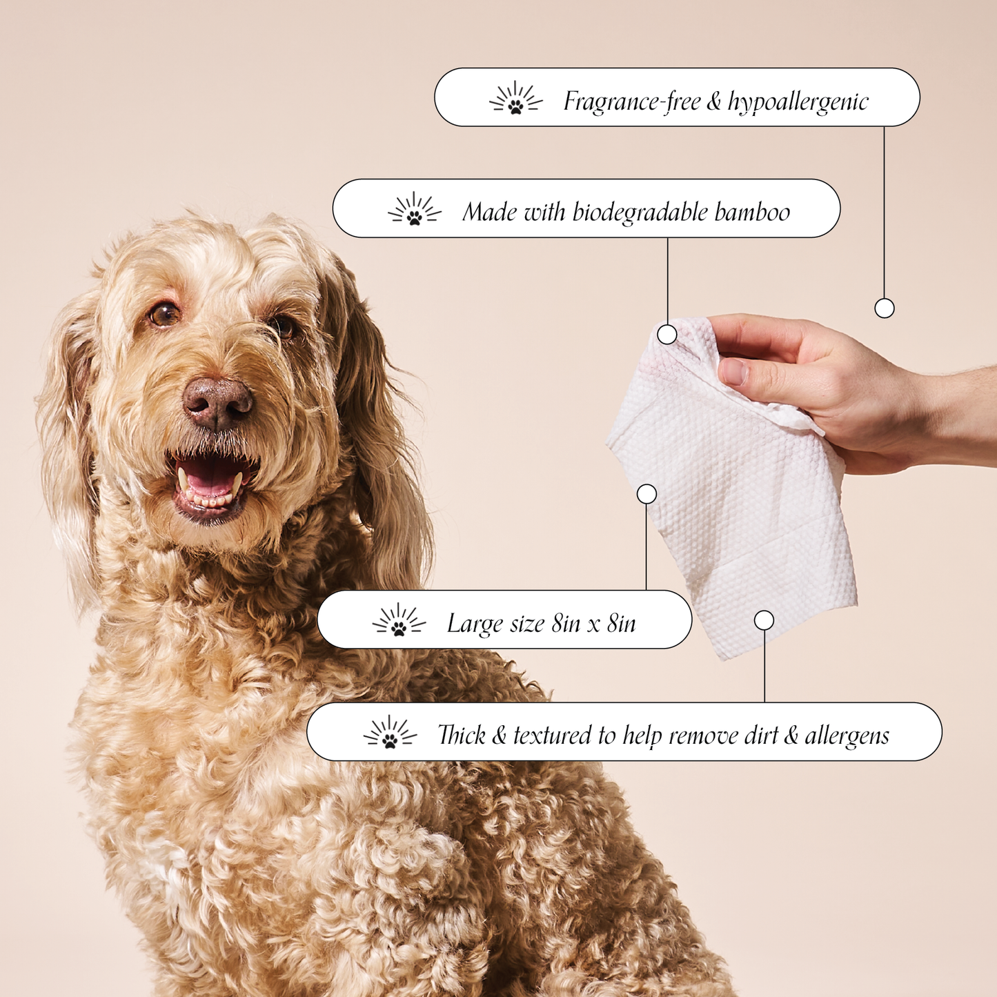 Goldie So Fresh, So Clean Probiotic Wipes