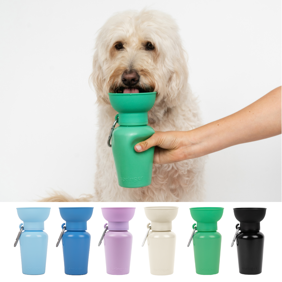 Dog Travel Water Bottle, 20oz, Flip Silicone (Mixed 12 Pack)