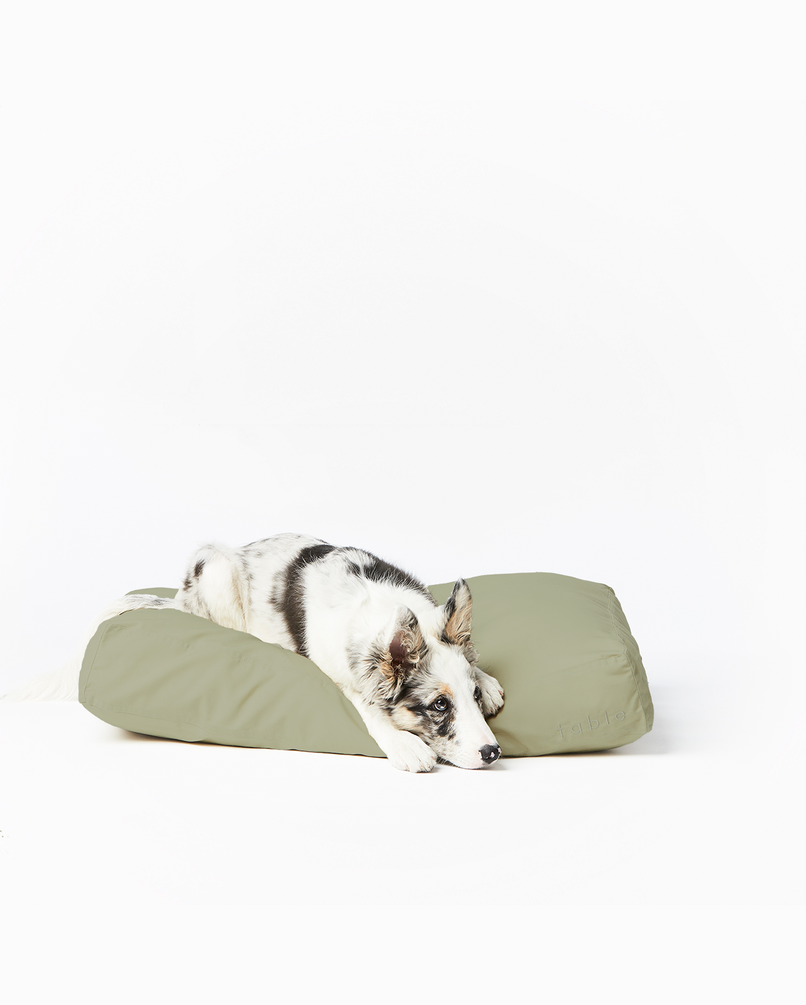 Fable Durable Water-Resistant Memory Foam Dog Bed