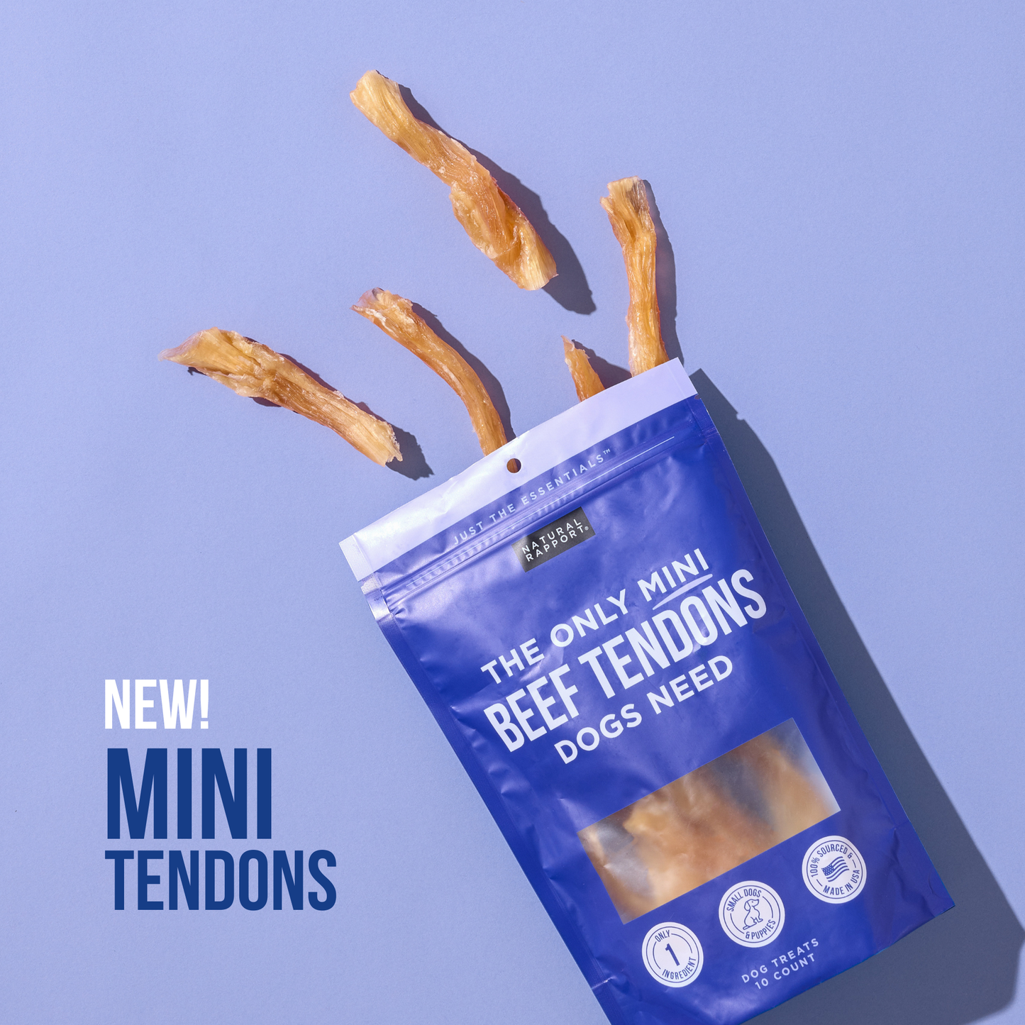 The Only Beef Tendon Chews Dogs Need