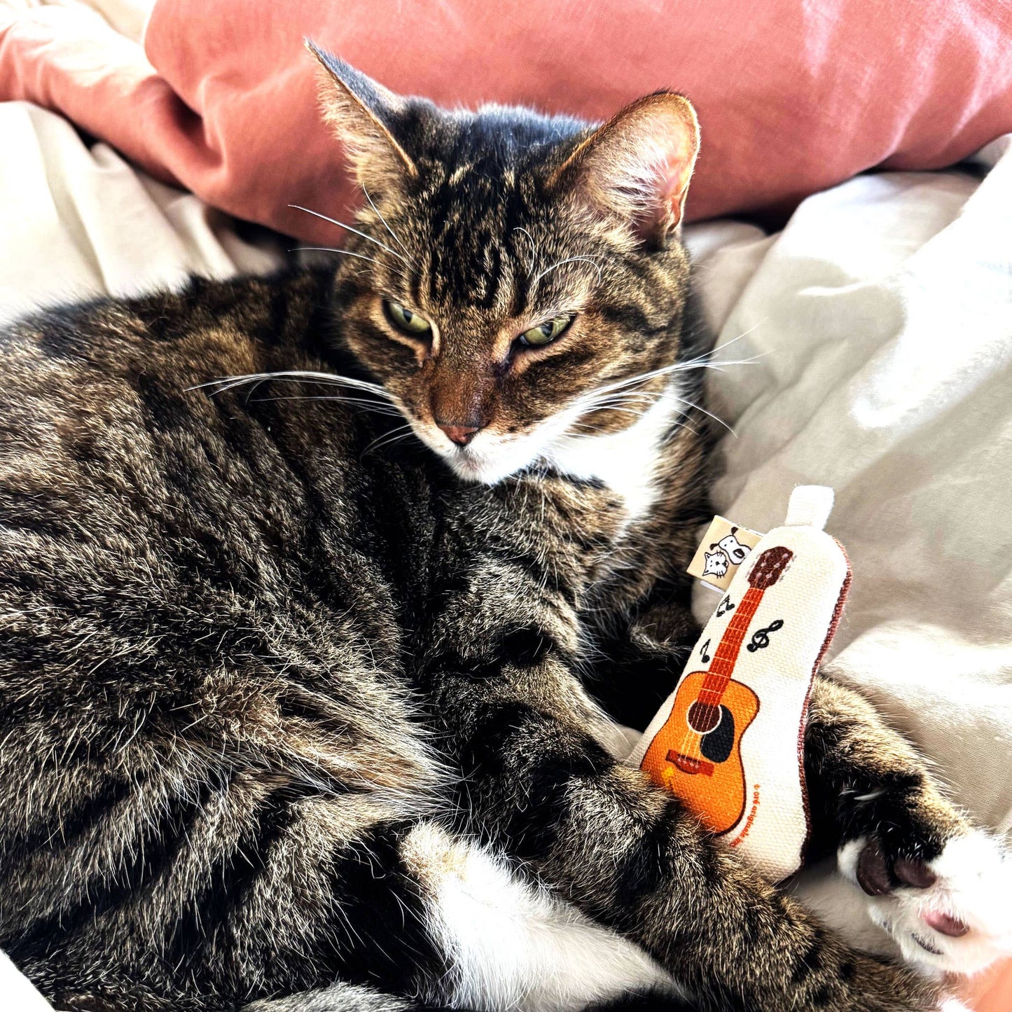 Go Kitty Go Cat Toy Set | Country Music Kitty