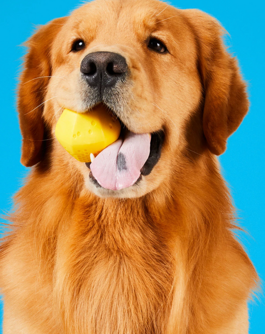 Project Hive Floating Ball (Yellow)